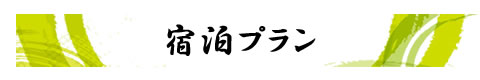 宿泊プラン